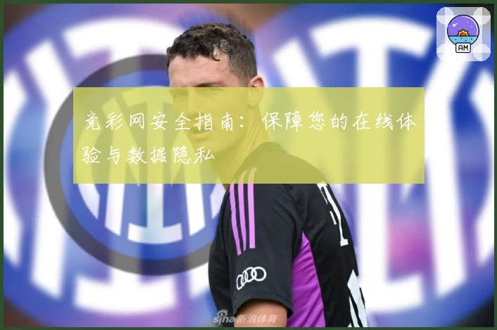 竞彩网安全指南：保障您的在线体验与数据隐私