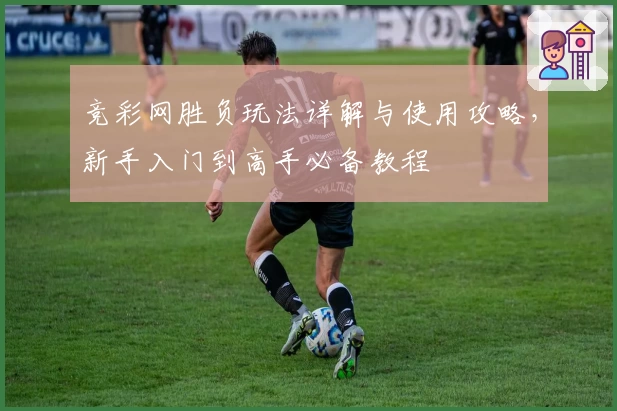 竞彩网胜负玩法详解与使用攻略，新手入门到高手必备教程